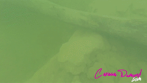 xsiteability.com - Carissa Swimming In The Texas Blue Hole  - Above & Below views thumbnail